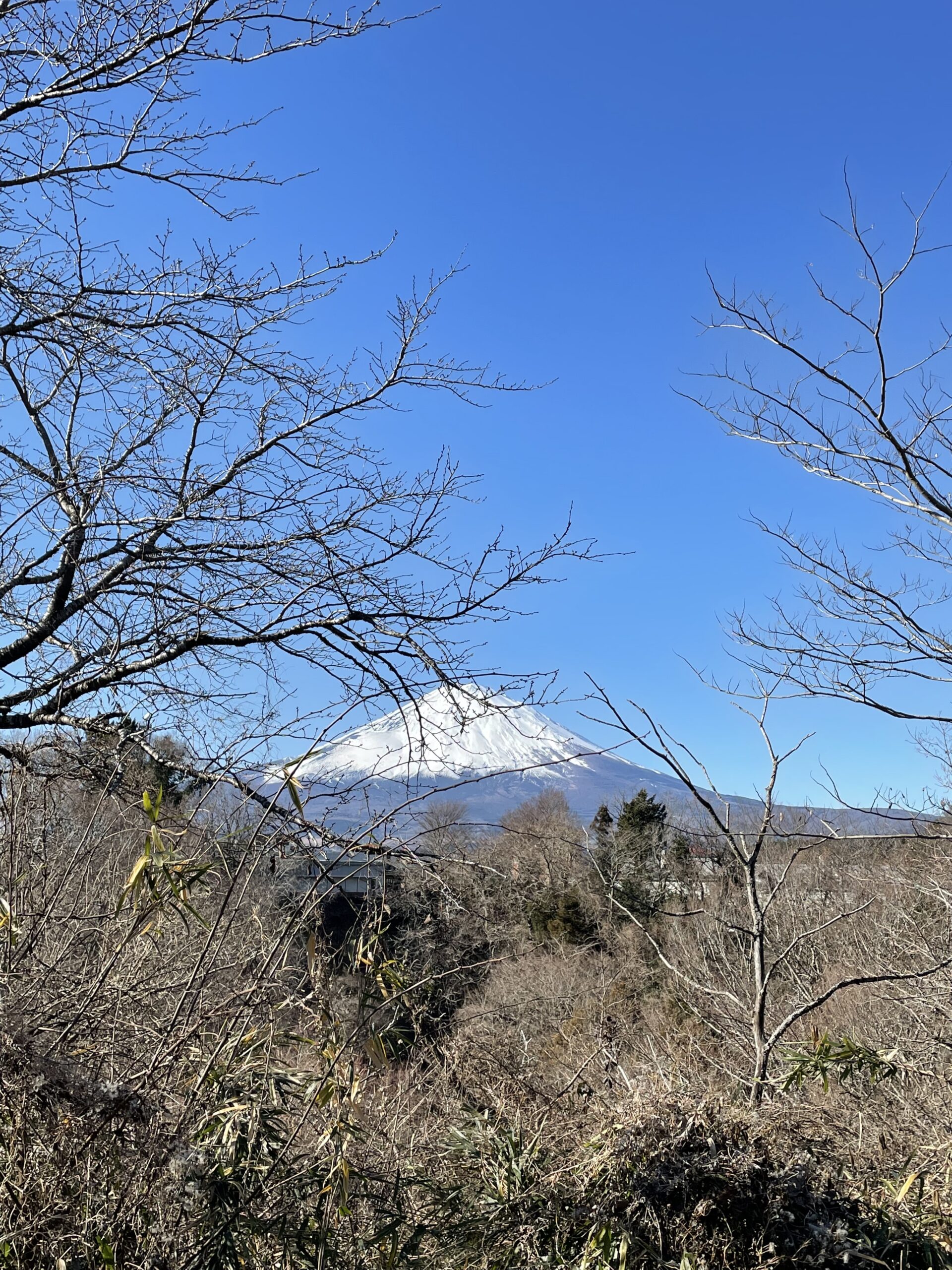 新年明けましておめでとうございます。